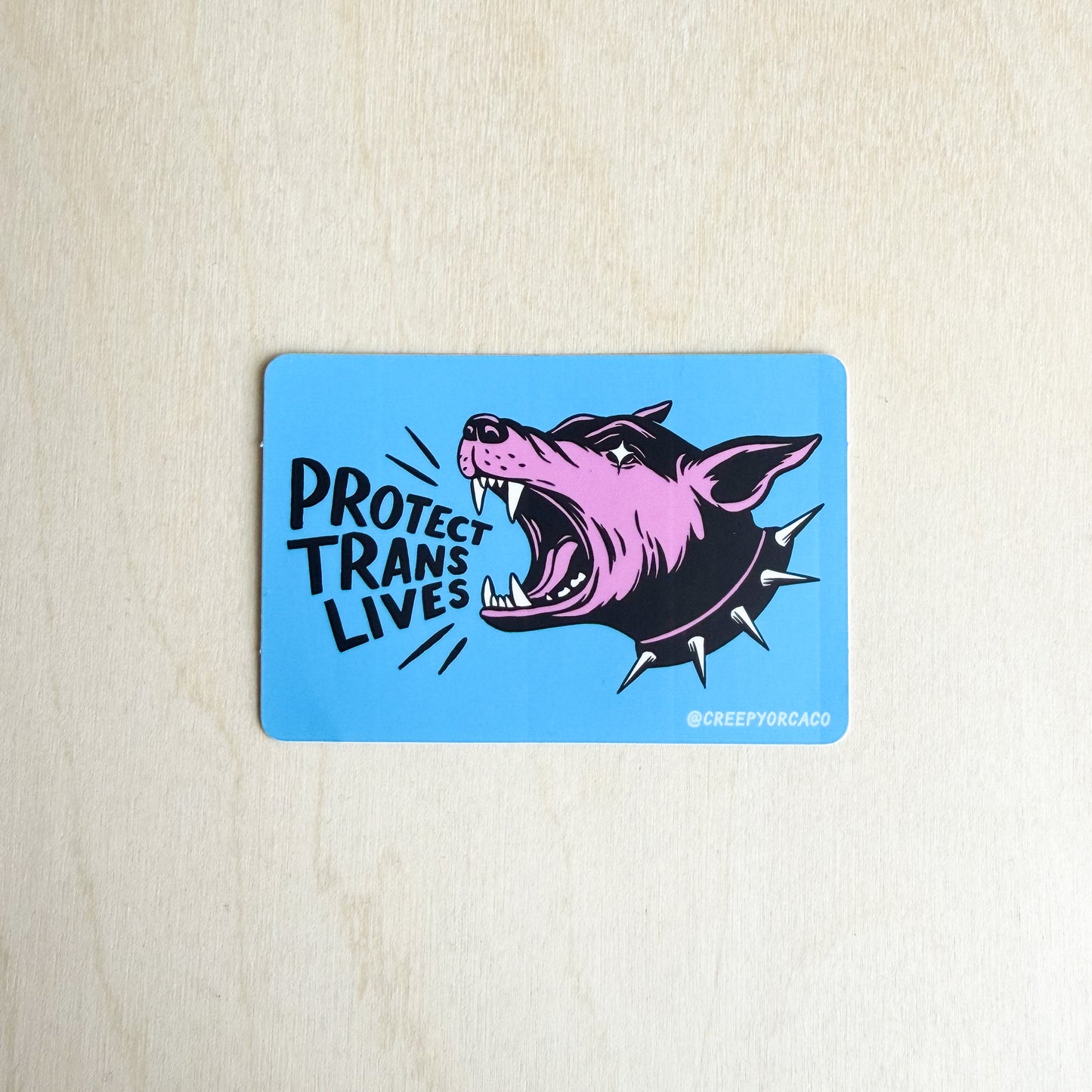 Protect Trans Lives Sticker